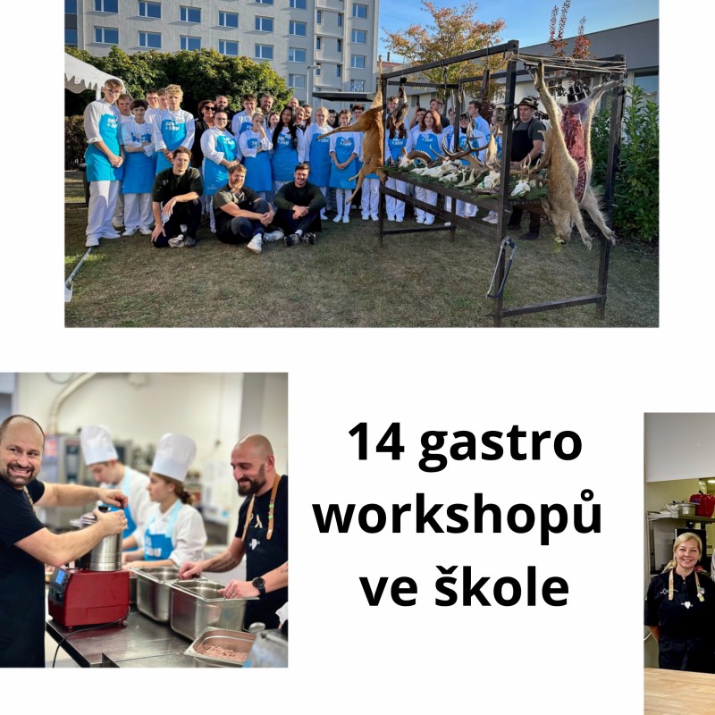 Gastro 2023