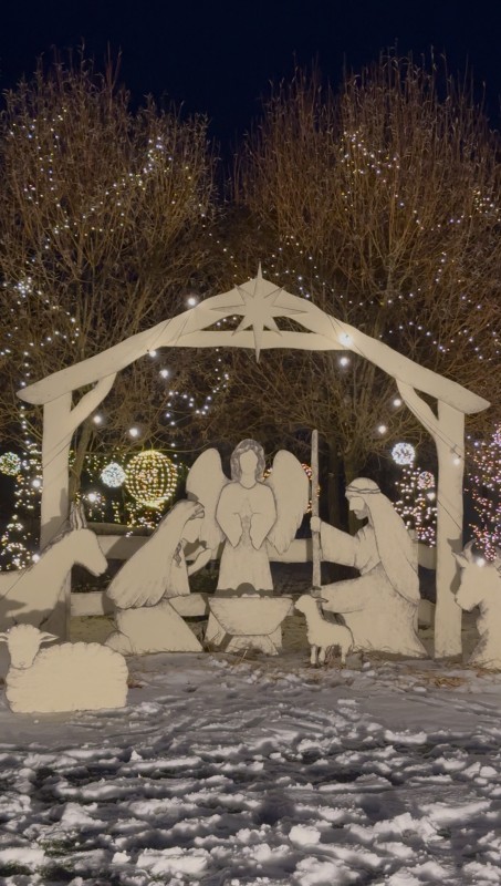 Rozsvícení vánočního stromečku